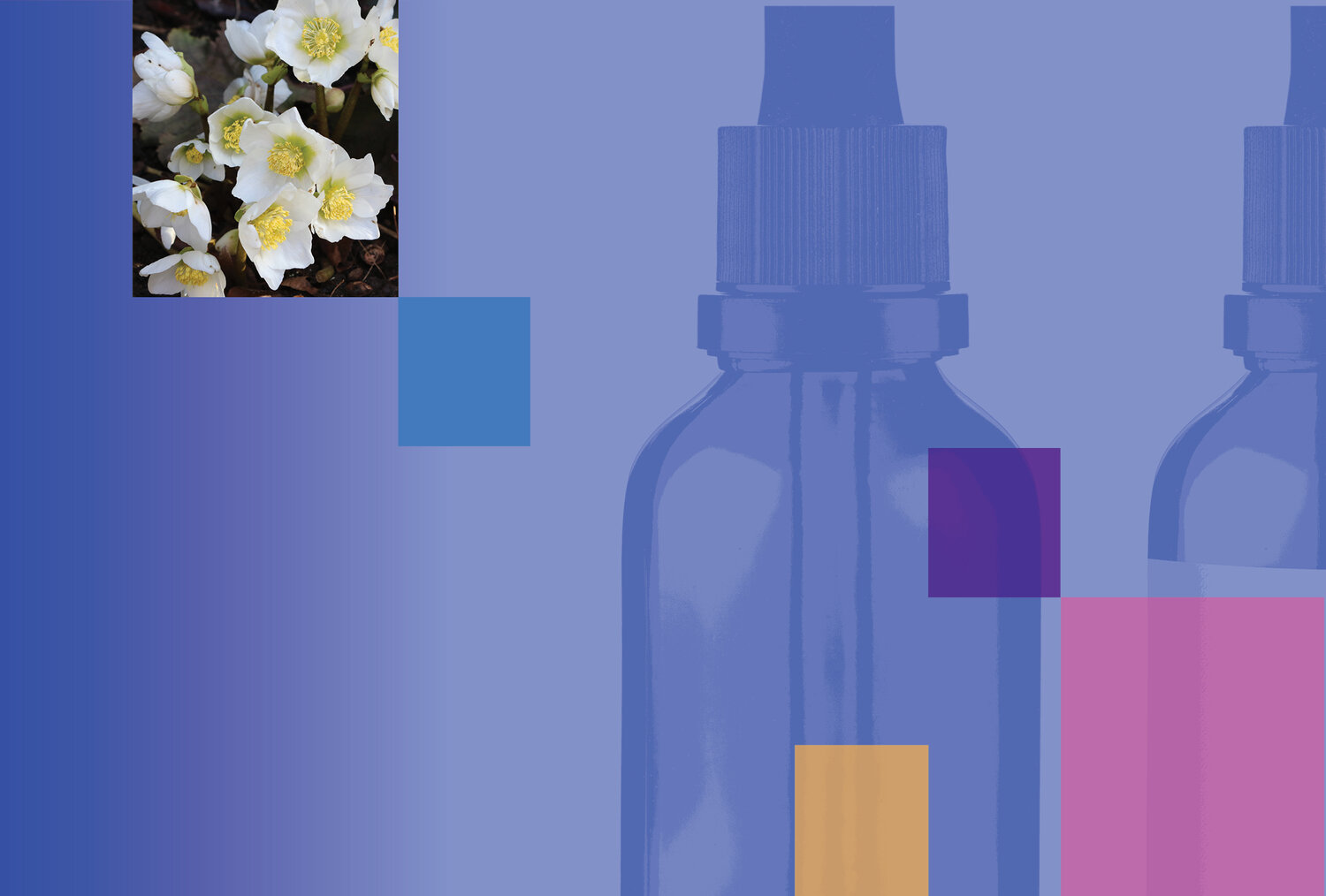 Case studies in cancer